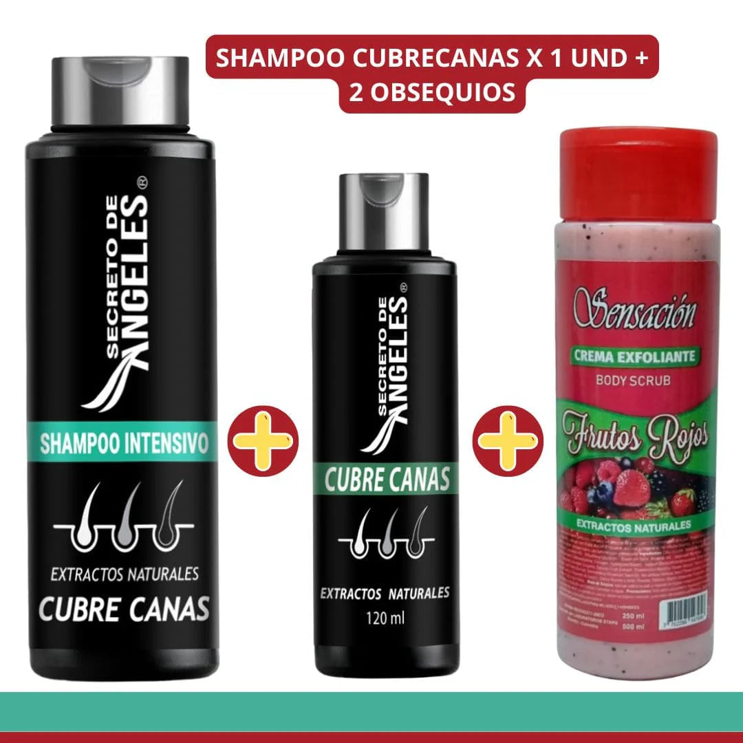 Shampoo Cubrecanas Splash Capilar