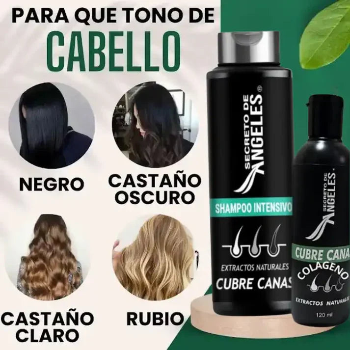 Shampoo Cubrecanas Splash Capilar